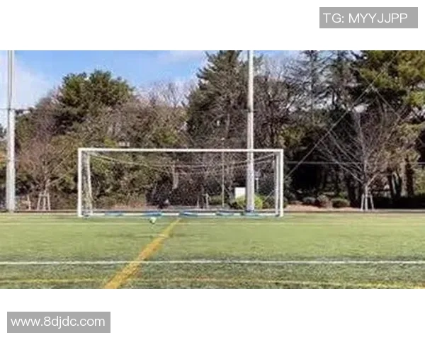 绰号水牛的足球明星如何在绿茵场上展现力量与技巧的完美结合 绰号水牛的足球明星如何在绿茵场上展现力量与技巧的完美结合