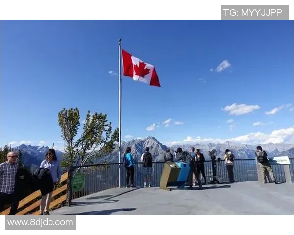 深圳乒乓球队逆袭之旅全景揭秘赛场背后的奋斗与荣耀
